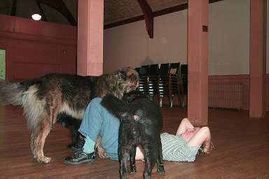 bendy gets dog kisses