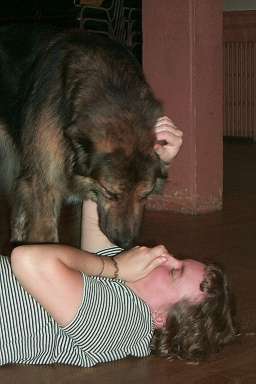 bendy gets oberon kisses